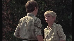 Den sommeren jeg fylte 15 (1976)