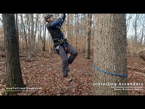 Foot & Knee Ascender Best Practices for Rope Walking & Tree Climbing