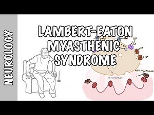 Lambert-Eaton Myasthenic Syndrome - pathophysiology, signs and symptoms and treatment • Video • MEDtube.net
