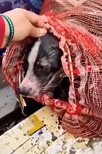 5.2K views · 124 reactions | We went out on the water early. That...