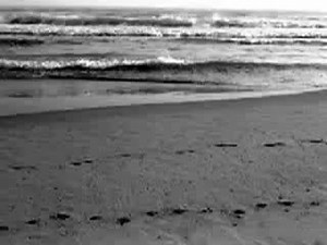 Kenny G - The Shadow of Your Smile