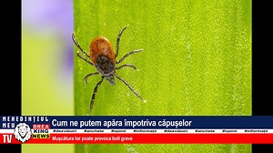 CUM NE PUTEM APĂRA ÎMPOTRIVA CĂPUȘELOR | MEHEDINTIUL MEU