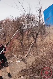 7.1K views · 47 reactions | 20 great labor support tools | KAPA Alabel | Facebook