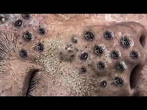 Sac Dep spa Ralax Evrey Dayrelax with nasa spa