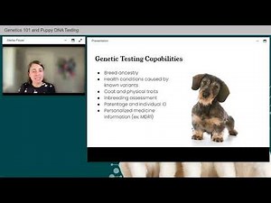 Canine Genetics 101 & Puppy DNA Testing - Canine Health Summit 2024 - Embark for Breeders