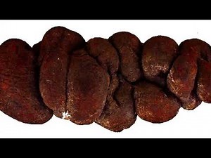 Ancient Poop Reveals Secrets
