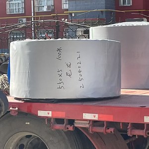 [Hot Item] Durable Heavy-Duty Nylon Conveyor Belt for Multi-Purpose Canvas Use