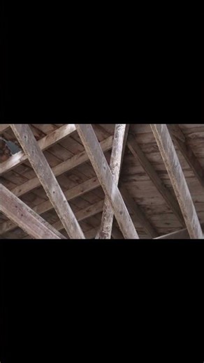 Raccoon calling in an old Cattle Barn! #hunting #squalling#mcsquallers#outdoors#calling #coonhunting