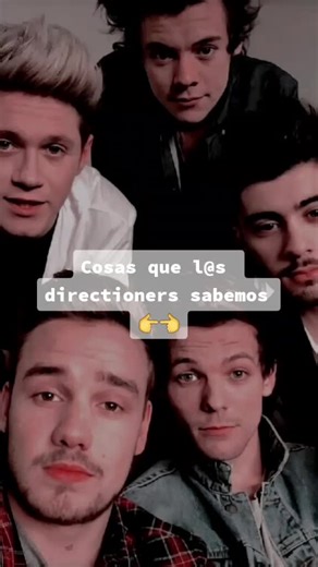 #onedirection #louistomlinson #zaynmalik #harrystyles #niallhoran #liampayne #hype #fyp