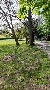 22K views · 79 reactions | Sound on  This is the moment a Second World War grenade was detonated in Colchester Castle Park  The controlled explosion was carried out by Army experts after the park was evacuated ⚠ The explosive was discovered by treasure hunters while they searched for goods in the beauty spot without permission 蘿 Read the full story here: tinyurl.com/2m74p2x3  | Colchester Gazette | Facebook