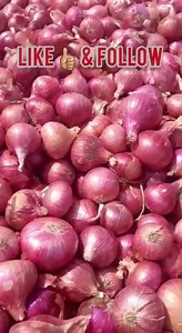 6.6K views · 38 reactions | 1400 रुपये बिका नाशिक मे प्याज 暈 डेली प्याज रिपोर्ट के लिये व्हिडिओ को लाईककरे और पेज को फॉलो करिये ।। | Baliraja 24x7 | Facebook