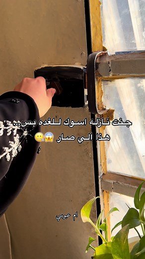 هذا اللي صار: ملخص فلوغ تيك توك عن شعب الصيني وما حدث