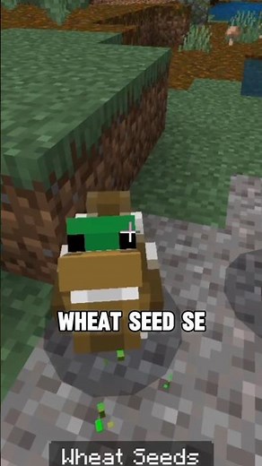 If Minecraft Had Ducks 😱#minecraft