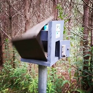 🆘 This geocache has its own self-destruct button! 🆘 Have you ever found a cache that was not what it seemed?⁣⁣ ⁣⁣ Video by bardelino296.⁣⁣ | Geocaching