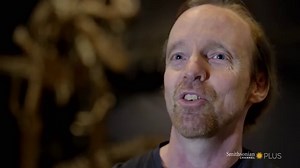 14K views · 582 reactions | Chomp. Chomp 練 The T-Rex used its massive biting force to prey on whatever it wanted, even armored dinosaurs. See archeologists dig up the proof on Top Ten Deadliest Beasts, new to streaming today: https://bit.ly/37SCMnT | Smithsonian Channel Aviation Nation | Facebook