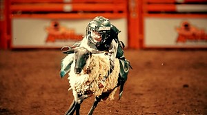 21K views · 671 reactions | Get ready to RODEO, San Antonio! | San Antonio Stock Show & Rodeo | Facebook