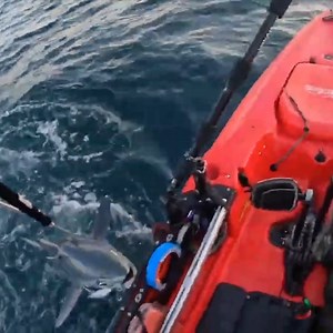 15K views · 247 reactions | Yakin With Jack on Reels | Facebook