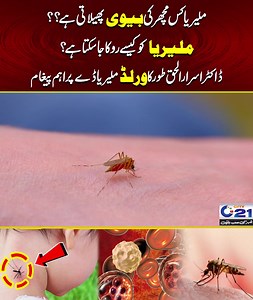 What is Malaria, Causes, Signs & Symptoms, Diagnosis and Treatment? #malaria #malariaawareness #fever #malariaprevention #health #healthcare #awareness #viralvideoシ #viralpost2025 #trendingreelsvideo #trendingnow | City21