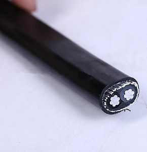 [Hot Item] Electrical Power Cable 2*8AWG Aluminum Alloy Conductor XLPE Insulation Concentric Cable