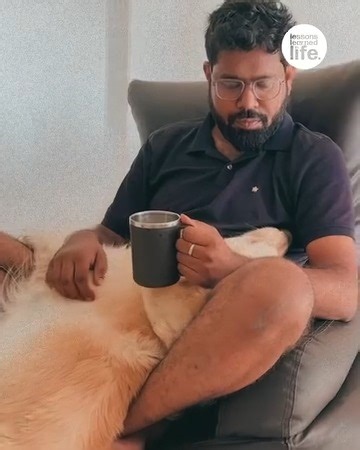 Dog sneezes and spills tea | Lessons Learned In Life