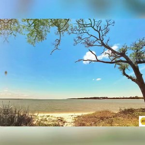 Indian Pass, FL is a peninsula that offers a serene atmosphere, beautiful scenery and Old Florida vibes. Who enjoys staying on Indian Pass? #Beach #Travel #IndianPassFL #ConeHeads8020 #GulfCoast #ForgottenCoast #GulfCoastLife #ThirtyB #30B #30BIP #OldFlorida #SpringBreak2026 #SpringBreak | Cone Heads 8020