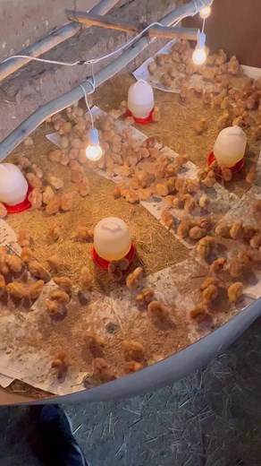 Keep following Dr Fami | Dr Fami