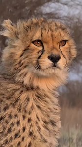 Incredible beauty 🔥🔥 | Fan 0F Photograpy