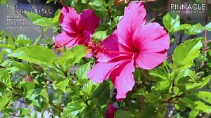 OPEN HOUSE TODAY 2-4pm #SimiValley #DebbieGates...