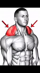 1.1M views · 10K reactions | 8 Best Trapezius Exercises to Build Huge Traps Fast – Ultimate Trap Workout Routine for Mass, Strength, and Definition.# #Fitness #motivation #Usa #fastmusclegrowth #liftlegendgym | LiftLegend Gym | Facebook