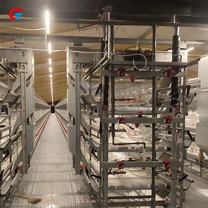 [Hot Item] Chinese Good Price Factory Made H Type Frame Automatic Laying Hens Brooder Broiler Chicken Farm Battery Cage