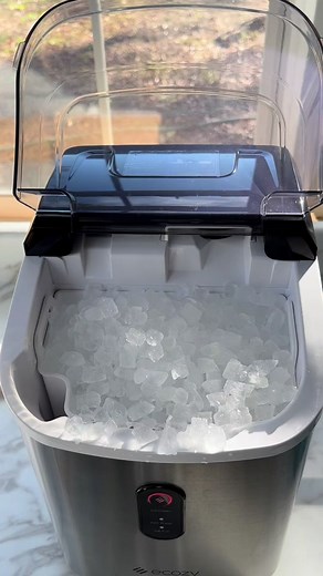 Ali Iceberg on TikTok