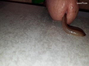 Worm in Cock