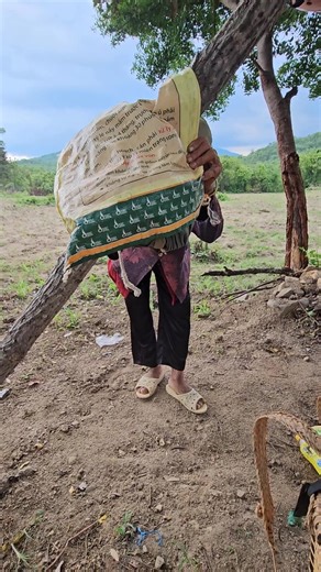 4.8K views · 19 reactions | 60 năm Dành cả cuộc đời để trồng bắp kiếm miếng cơm ăn qua ngày của Bào Lão Người Đồng Bào U85t #ngodaingocfb #DOCLA | Ngô Đại Ngọc FB | Facebook