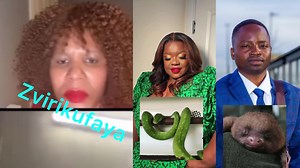 Pashata listen Mai Mazowe Muri Muroyi Zimuroyi Ziguru Zidya Vanhu Mugomo Mune hutsinye Ndiri Soja Ndichakuendesai Kumwedzi🤣🤣🤣🤣Muchakudubuka Nezimota Renyu Vofumurwa Zvavainyeya Vanhu Vemumhuri Yavo 😳😳😳😳💔 | Penga Udzoke