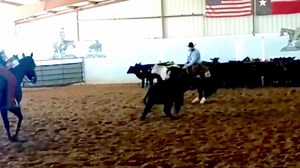 Another great show weekend in the books! Resident Trainer Jose Cruz and Aristocratically Cat picked up 1st and 2nd place checks in the $25000 Novice Horse class. Emilee Radford and Uno Caliente Cat picked up thier 2nd check in $50K Amateur Class! #TeamValleyView #VVRanch | Valley View Ranch LLC