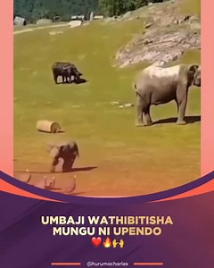 ✨ Kila kilichoumbwa ni kioo cha upendo wa Mungu. Milima, bahari, nyota na hata pumzi yako leo ni sauti ya ushuhuda kwamba “Mungu ni upendo.” ❤️🌍 Uumbaji hautumii maneno, lakini kila kitu kinachoonekana kinatufundisha kuamini, kushukuru na kupenda zaidi. Wewe ni sehemu ya uumbaji wa Mungu—ni kitu gani katika uumbaji kimewahi kukukumbusha kwa nguvu zaidi kwamba Mungu anakupenda? 😄 @hurumacharles #hcdigital | Huruma Charles