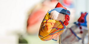 19 For a Cure: Advancements in heart health care