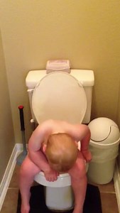 Ginger playing on the potty.