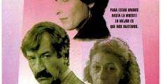 Siete mil días juntos (1994)  - Ver Película Completa en Español - FULLTV