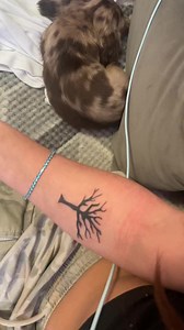 Tree of Life Symbolism and Meaning