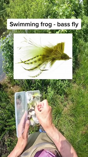 1.4K views · 18 reactions | Another favorite frog fly of mine. #flyfishing #topwater #topwaterflyfishing #flyfishinglife #flyfishdelawhere #bass #basstok #bassfishing #bassfishingbasics #largemouthbass #largemouthbassfishing #bucketmouth #howtobassfish #howtoflyfish #flyfishingbass #bassflyfishing #flyfishdelawhere | Cockergram Sbdm 28688 | Facebook