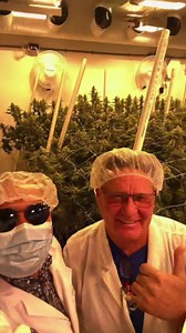 Nothing but quality from @purefirecompany 🔥🇨🇦 Justin from Hydrofarm Canada continues his farm visits, this time dropping by to say hello to the fine folks at Pure Fire Company on the 5th anniversary of Canadian legalization! This room has some GSC (forum cut) grown to absolute perfection 🫡 The folks at Pure Fire have been at it for about 45 cumulative years in this industry, and it certainly shows. Based out of British Columbia, this operation was founded by Cody Lewis, who learned from his 