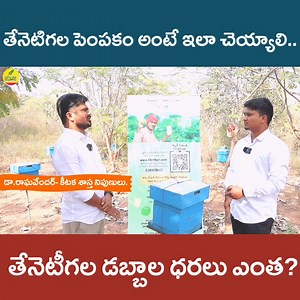 Honey Farming In Telugu | తేనెటీగల పెంపకం - పెట్టుబడి | Apiculture | Shiva Agri Clinic #honeyfarming #honeybeefarming #honeymarketing #honeymaking #apiculture #shivaagriclinic | Shiva AgriClinic