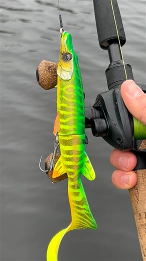 The Hybrid Pike in Firetiger color 😍 Available at www.charliesfishing.com! 🙌 We ship worldwide ✈️ The Savage Gear 3D Hybrid Pike is a lifelike predator lure designed to imitate a real pike with incredible accuracy, making it highly effective for targeting large carnivorous fish. Built using 3D scanning technology, the Savage Gear 3D Hybrid Pike combines a hard body with a soft tail for natural movement, strong vibration, and a realistic swimming pattern that triggers aggressive strikes. With i