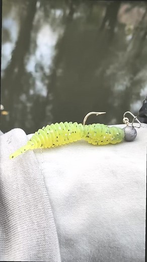 Catching a Green Sunfish with Eurotackle Fat Assassin soft plastic fishing lure #fishing #pageviralシ゚ #pageforyou #virals #survival #bassfishing #post #fish #catchfish | Zandy Stein