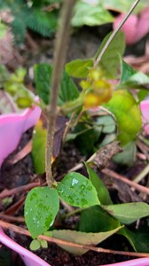 Allen Gregory Escalante Salvanera on Reels