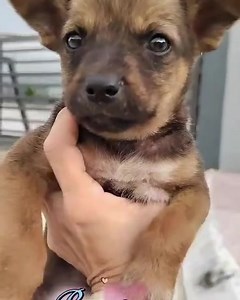 13 reactions · 4 comments | : Christmas is around the corner, our...