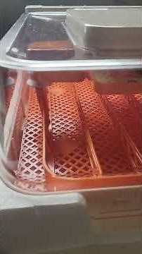 temu purchase review! Wonegg 56 egg incubator. first impressions. Will update during incubation.