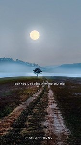 Hôm qua Đà Lạt mưa to, hôm nay sương mù lạnh lẽo🥶 📸 Pham Anh Dung #thongtindalat #dalat | Thông Tin Đà Lạt