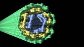 A model of a multi-walled carbon nanotube: sheets of one-atom thick...